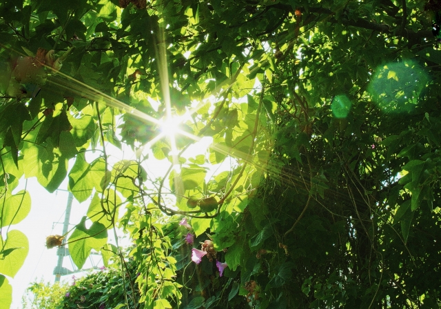 1. 特性を理解する