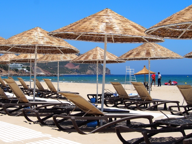 生活習慣と発症リスクの関係