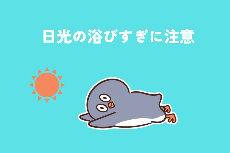 日光の浴びすぎに注意