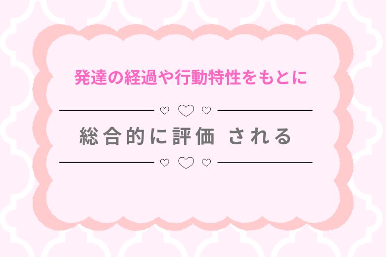 発達の経過や行動特性をもとに総合的に評価 される