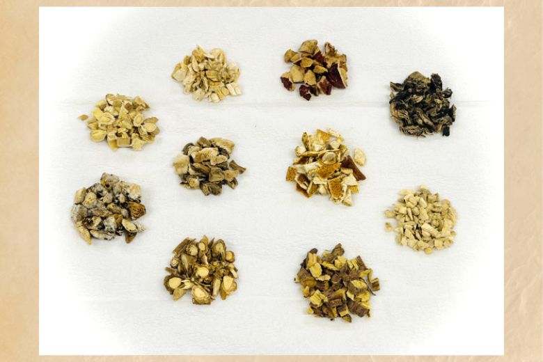 1. 補中益気湯とはどのような漢方薬か