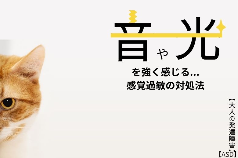 【ASD】音や光を強く感じる...感覚過敏の対処法【大人の発達障害】